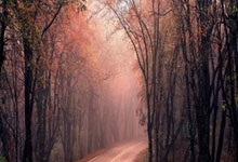 必一运动sport:2020歐洲杯F組介紹.