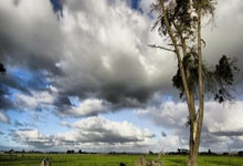 塔托強調地面配合進攻 俱樂部需展現野心.