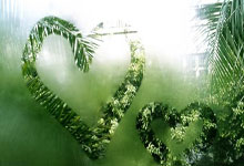 莫雷諾將回上海處理私事 重返申花可能性不大.