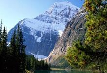 20-21賽季德甲聯賽第25輪比賽集錦.